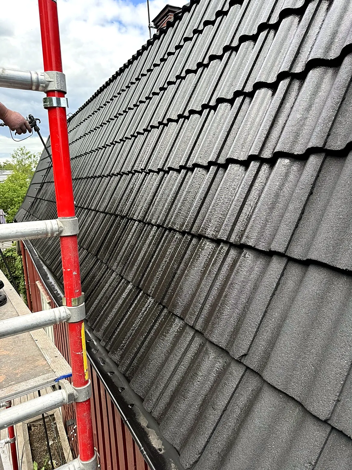 Utfört projekt av C&V Takvård